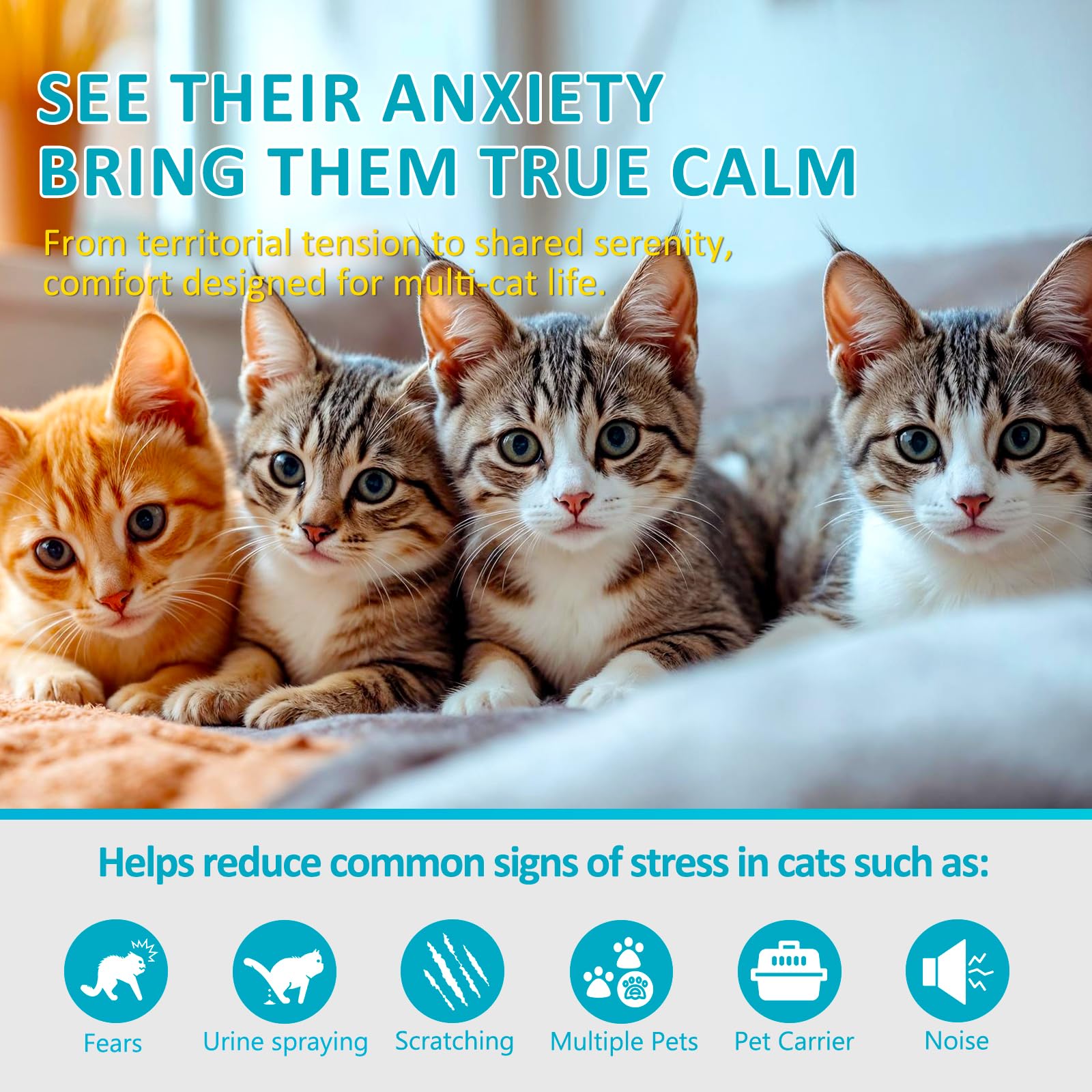 OcePor Diffuseur apaisant pour chat, 12 solutions de recharge, 3 prises - Recharge de diffuseur apaisant de phéromones pour apaiser les chats, soulager l'anxiété des chats