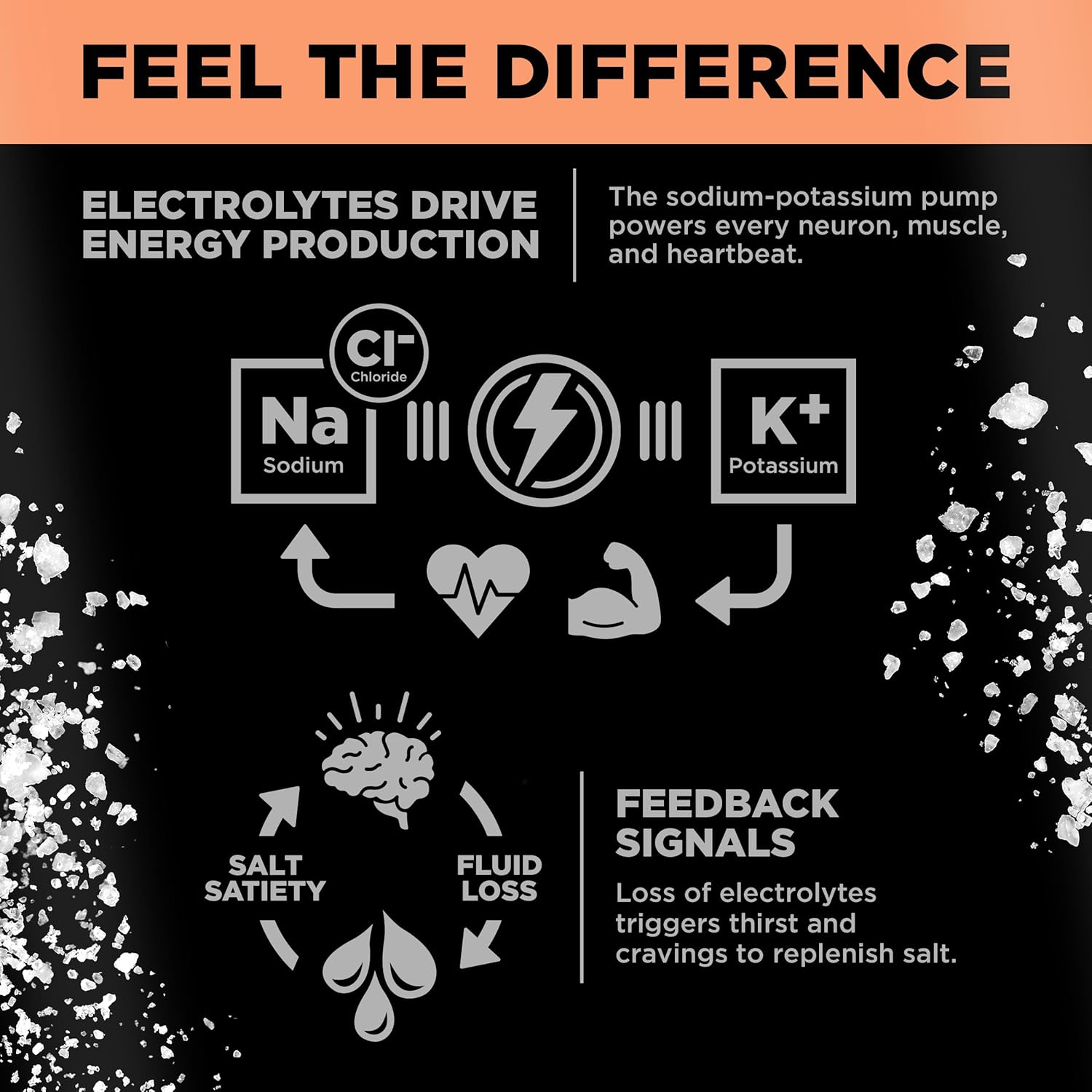 LMNT Sparkling Electrolyte Drink - Grapefruit Salt | 12-Count - Image 3