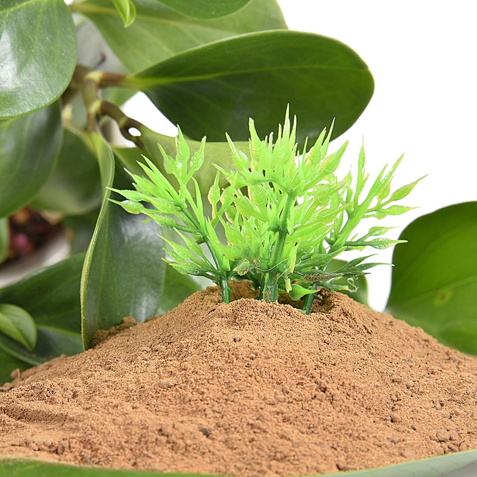 Suelo para estanque acuático para plantas, 200 g de suelo de acuario, lodo natural para estanque L-otus con nutrientes, suelos para plantas de estanque, medios de cultivo de plantas, barro natural