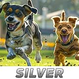 Open World Labs Games