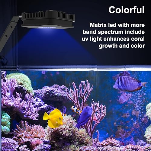 Miniatura 9 de Lominie - Luz LED para acuario de espectro completo, luz de tanque de peces de agua dulce y agua salada para coral, arrecife, tanque de nano acuario