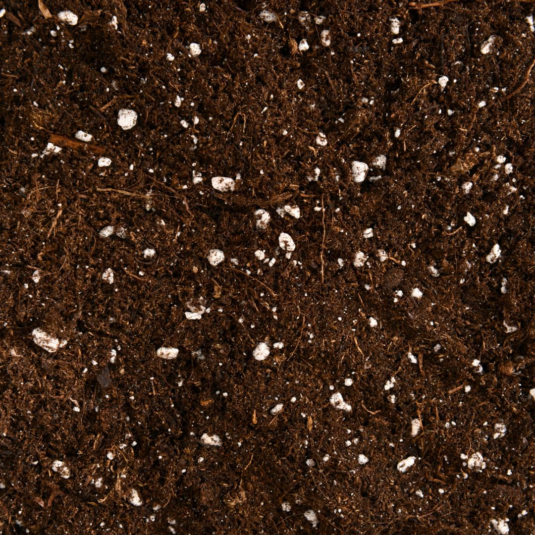 Premium Terrarium Potting Soil Mix for Closed Terrariums, Enclosed Ecosystems and Indoor Houseplants, Nutrient Rich Well Draining Substrate for Moss and Tropical Plants, 250 ml to 15 L (1 L)
