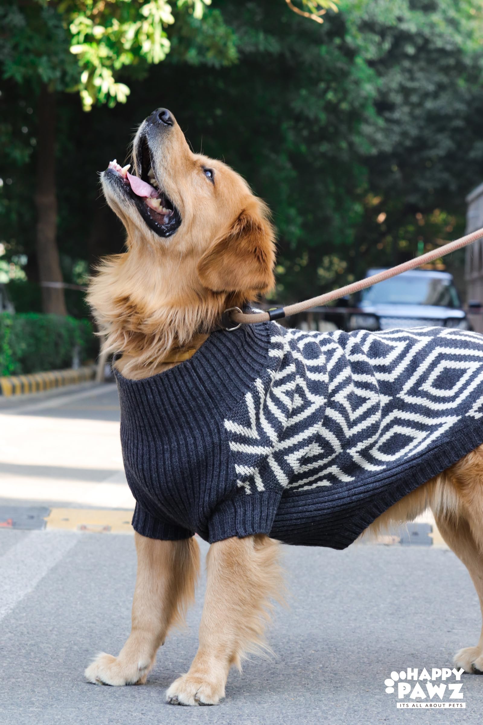 Happy Pawz Classy, Cosy, Soft, Warm & Comfortable Rhombus Dog Winter Sweater | Sweater for Dogs, 5XL, Charcoal Grey (B09MWF8B9H) Amazon Price History, Amazon Price Tracker