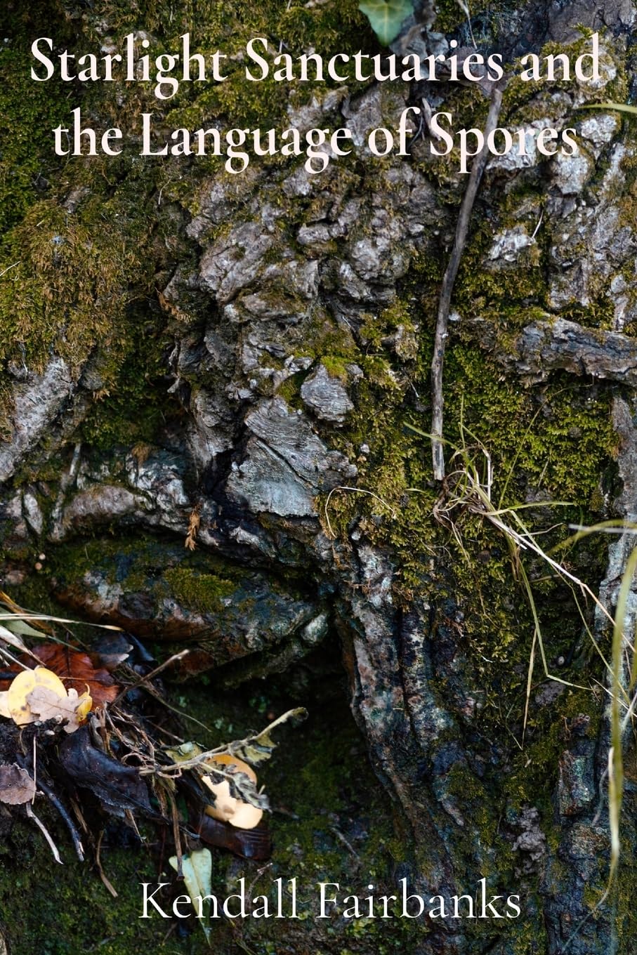 Starlight Sanctuaries and the Language of Spores: Deciphering the Secrets of Mycelial Networks and Fungal Folklore