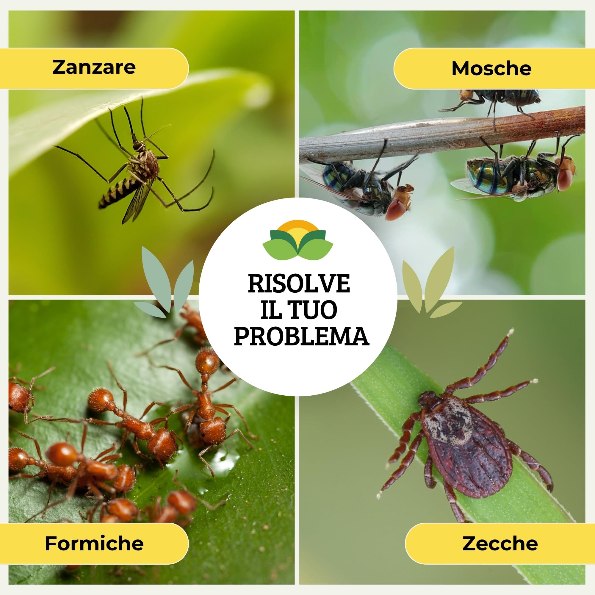 Albagarden Insetticida Antizanzare Giardino Cipermetrina Concentrato 1 Litro Protezione 4 Settimane