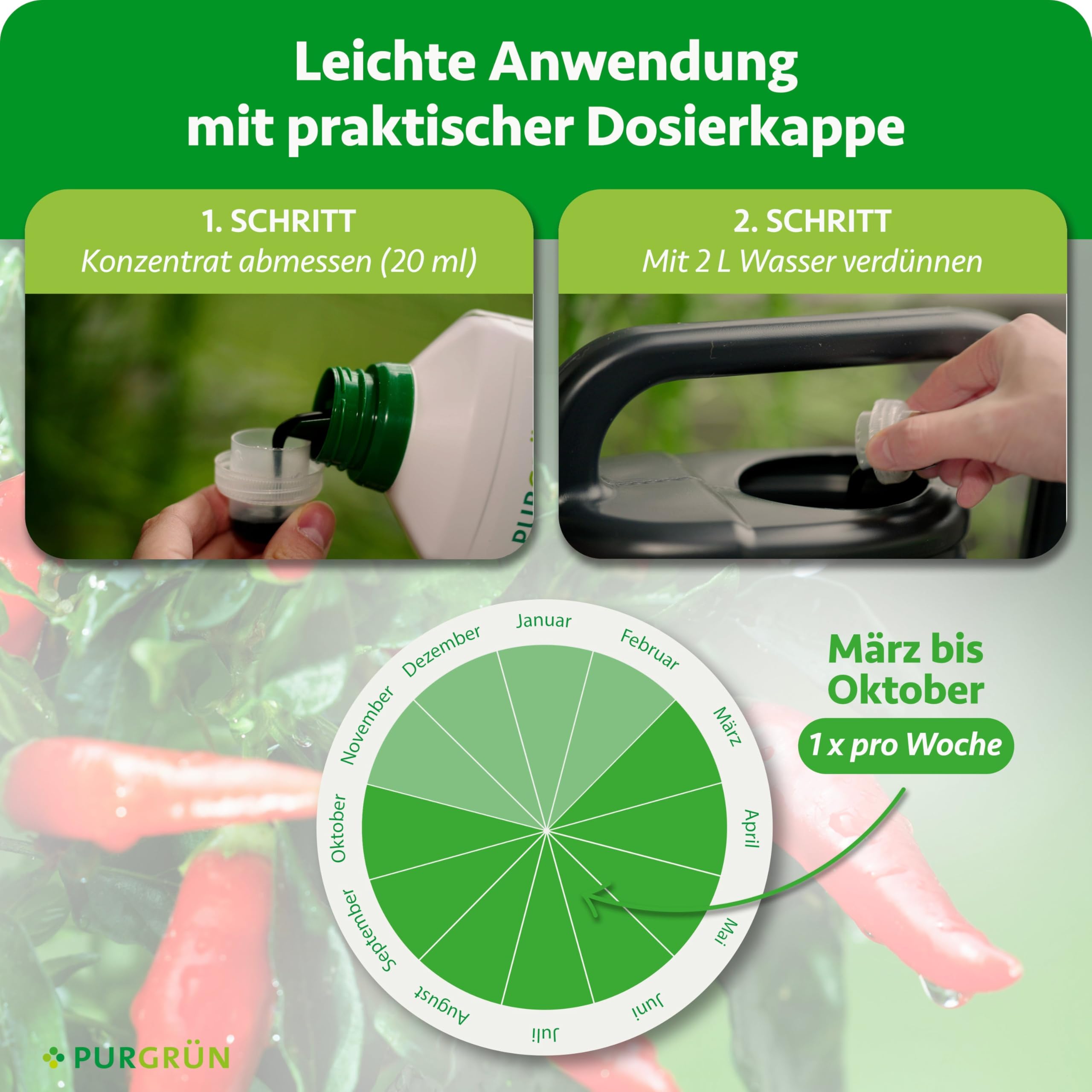 Bio-Chilidünger 1 Liter – Erhöht den Ernteertrag – Extra Kalium für knackige Chilis – Schnelles, gesundes Wachstum – Ohne tierische Inhaltsstoffe – Konzentrat für 100 Liter Gießwasser