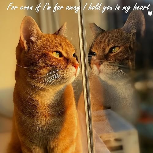 Miniatura 5 de Adorno de cristal de gato naranja para amantes de los gatos, regalo conmemorativo de gato atigrado, decoración colgante para ventana, diseño de luna