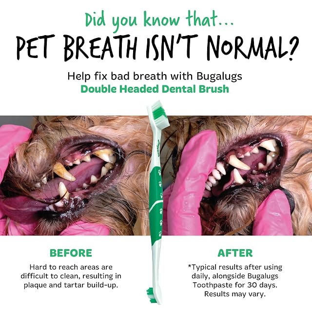 Foto 3 de 8 de BUGALUGS - Cepillo de Dientes de Doble Cabezal para Perros y Gatos - Pack x2 - Limpieza Dental Precisa