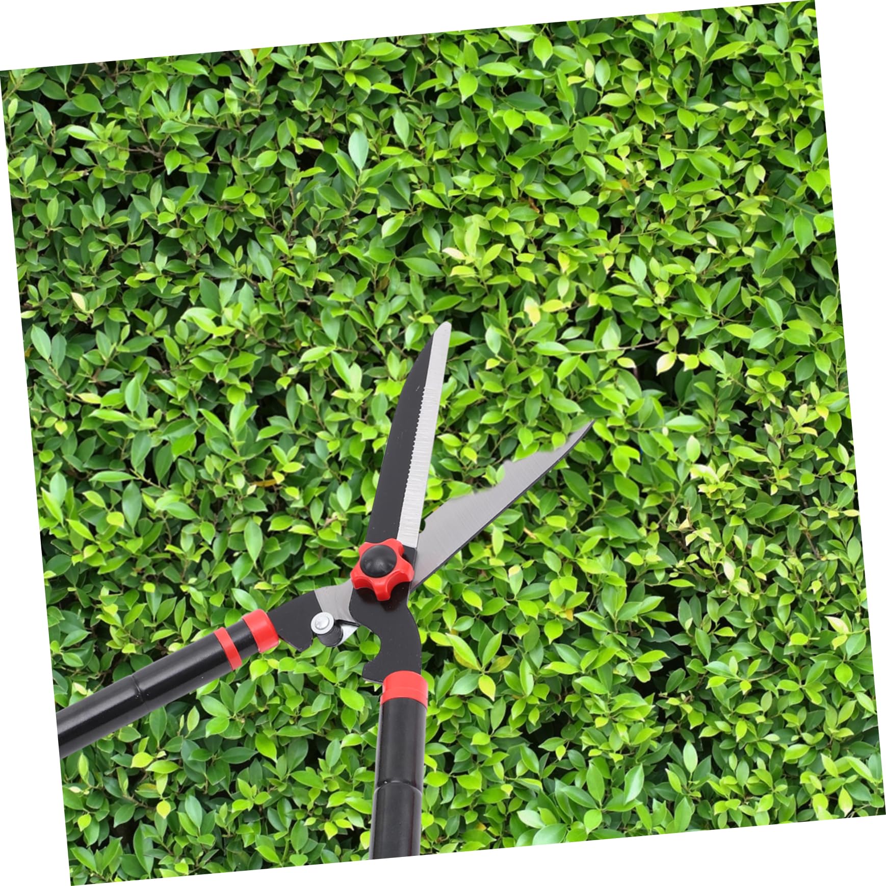 HEMOTON Cesoi Per Potatura Attrezzi Da Giardinaggio Per Siepi Cesoie Manuali Per Arbusti e Piante Ornamentali Realizzate in Acciaio e Gomma Impugnature Ergonomiche Antiscivolo
