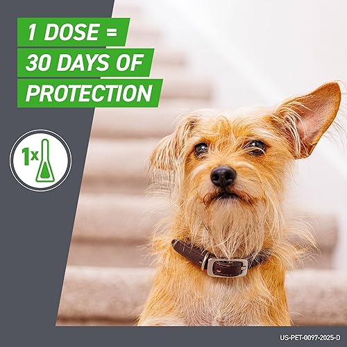 Miniatura 5 de Pipeta Frontline Plus para control de pulgas y garrapatas para perros y cachorros de 8 semanas o más y de 5 a 22 libras 6 dosis