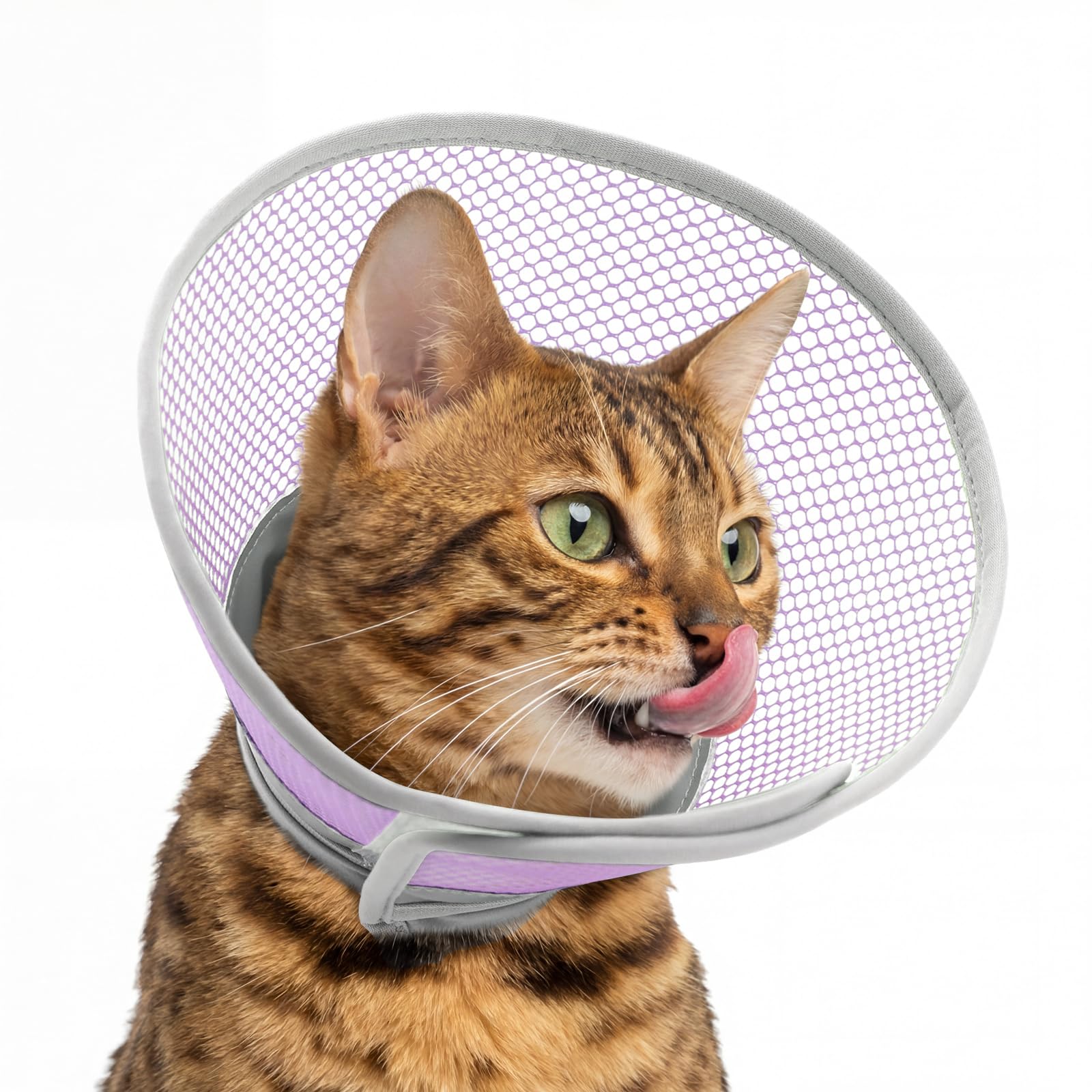 Supet Adjustable Waterproof Cat Cone Collar After Surgery to Stop Licking