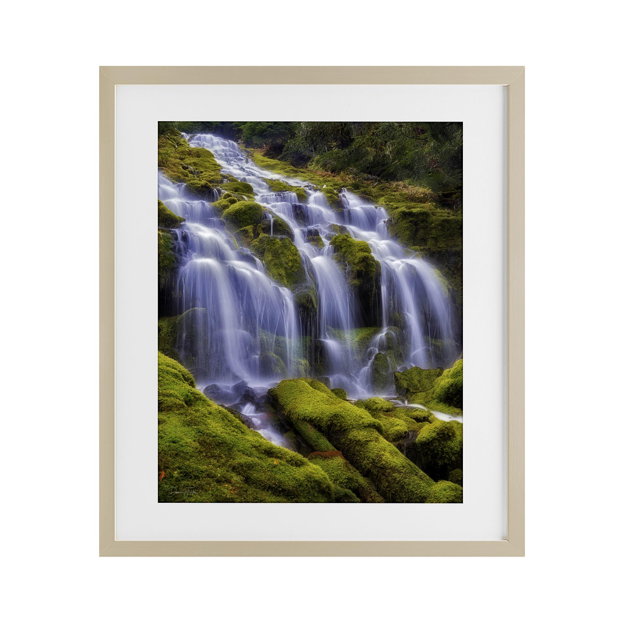 Stupell Industries Harvest Pine (Textured) 'Upper Proxy Falls', Framed Print Under Glass, Brown, 17 X 21 Inches, Easy To Hang And Sturdy, Made In Usa, By Dennis Frates