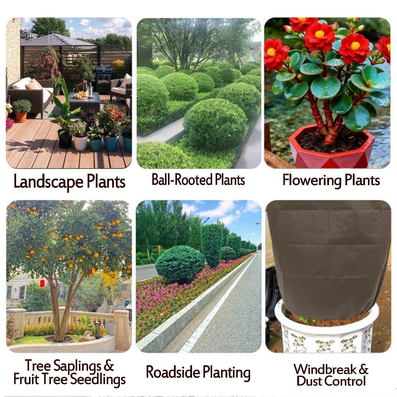 Cubiertas botánicas para protección de plantas de invierno, reutilizables, con cremallera y cordón, ideal para árboles y arbustos