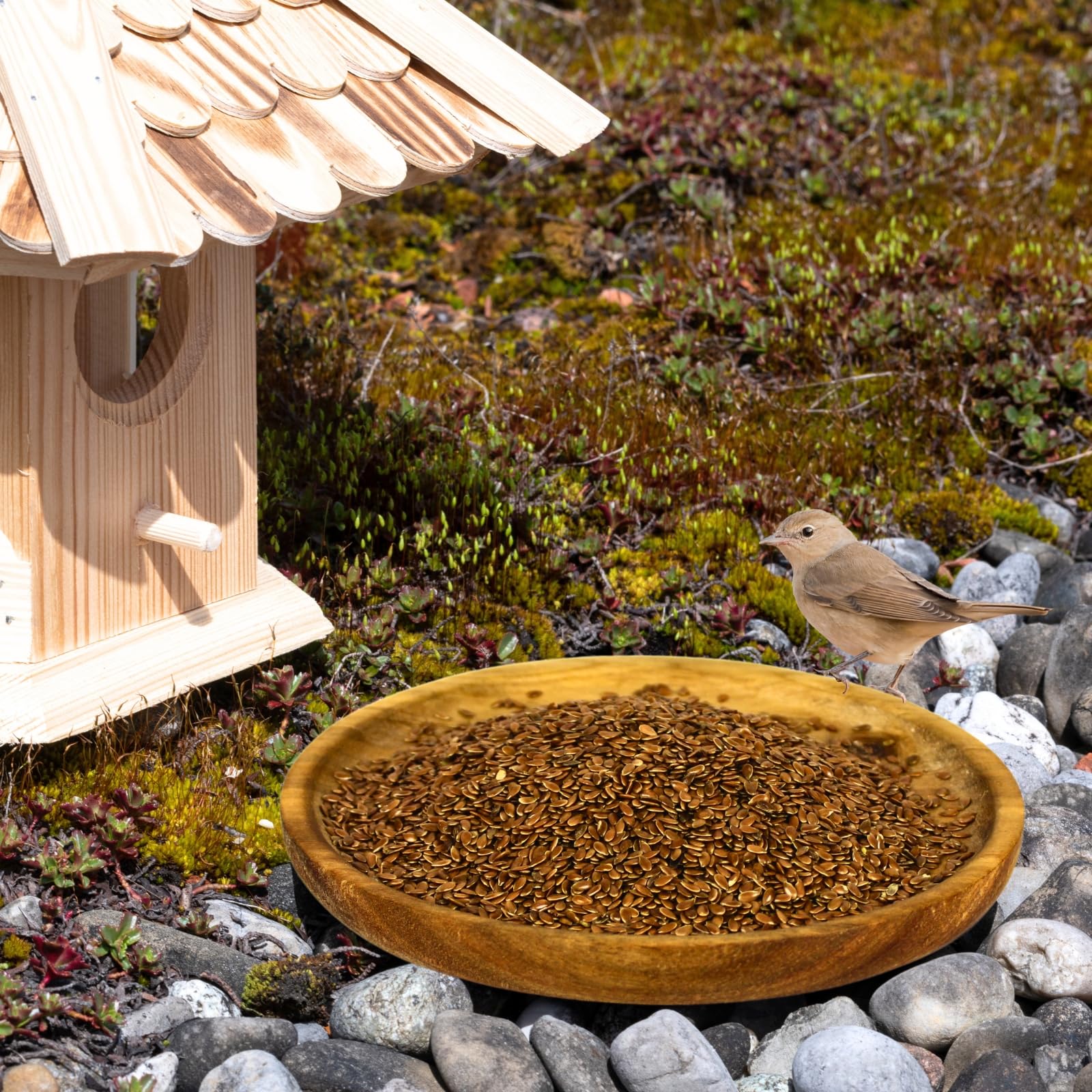 Lyra Pet® 25 kg graines de lin complément alimentaire pour oiseaux sauvages petits rongeurs riche en oméga-3 fibres protéines