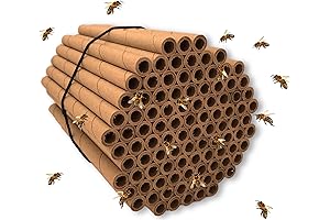 100 Pack Mason Bee Tubes: Essential Beekeeping Housing!