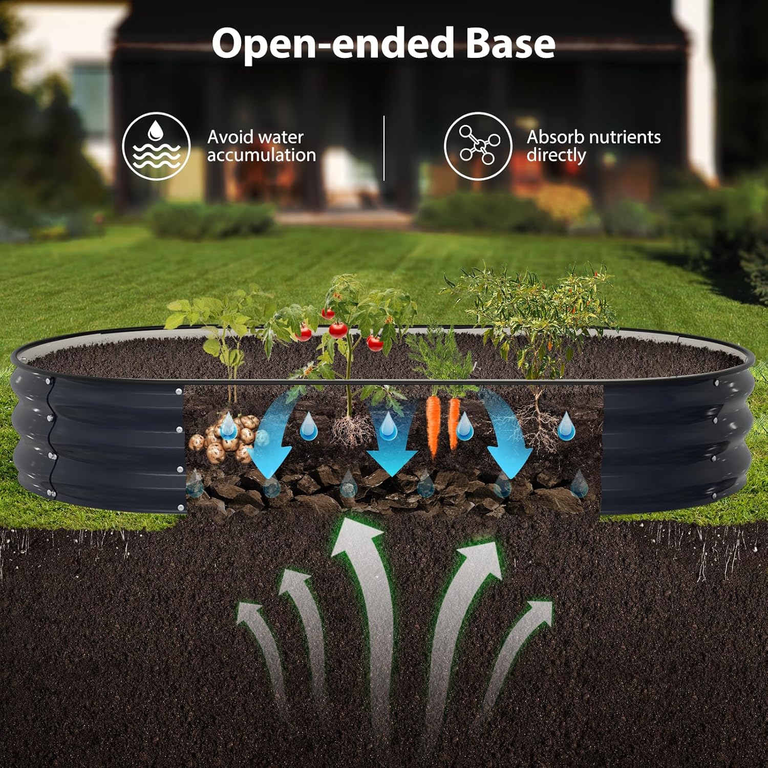 Raised Garden Bed Kit 6×3×1 FT, Silver and Blue