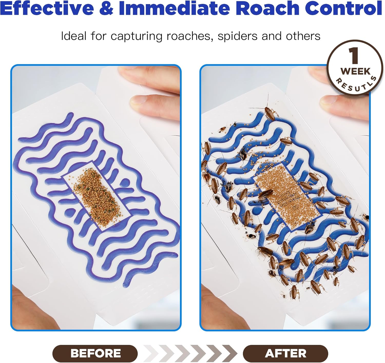 Say Goodbye to Creepy Crawlies: Review of Roach Sticky Traps Indoor 10 Pack
