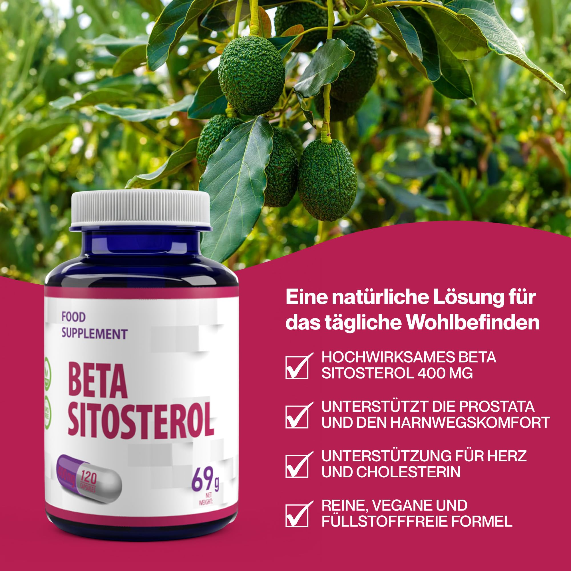 Hepatica Beta-Sitosterol 400 mg täglich | aus 800 mg Pflanzensterolen | 120 vegane Kapseln | GMP & Laborgeprüft