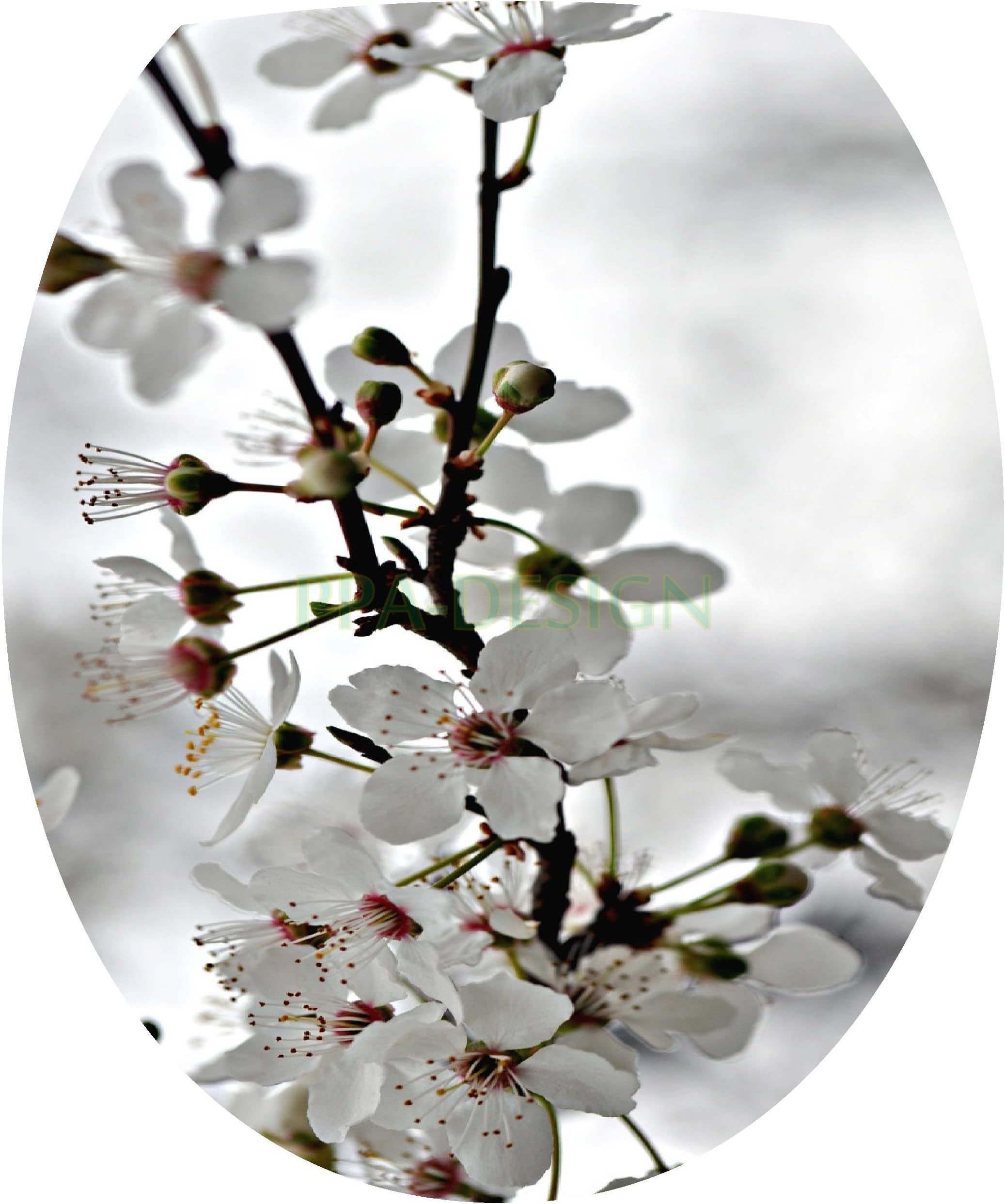 Sticker Autocollant Abattant WC Montagne 35x42cm SAWC0300