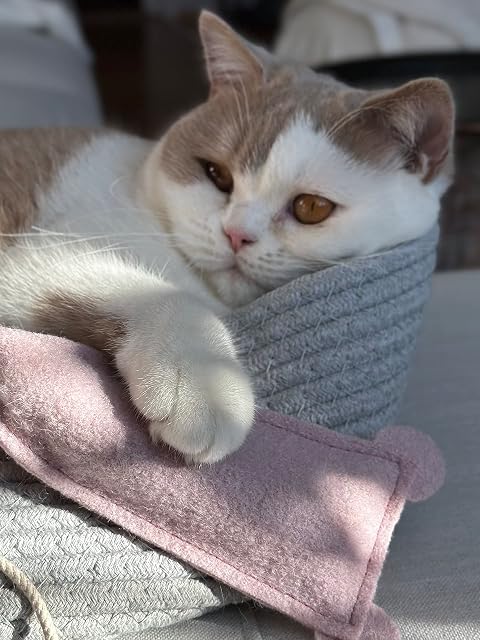 Foto 3 de 7 de 2 ratones de juguete cosidos a mano para gatos con relleno de hierba gatera y valeriana