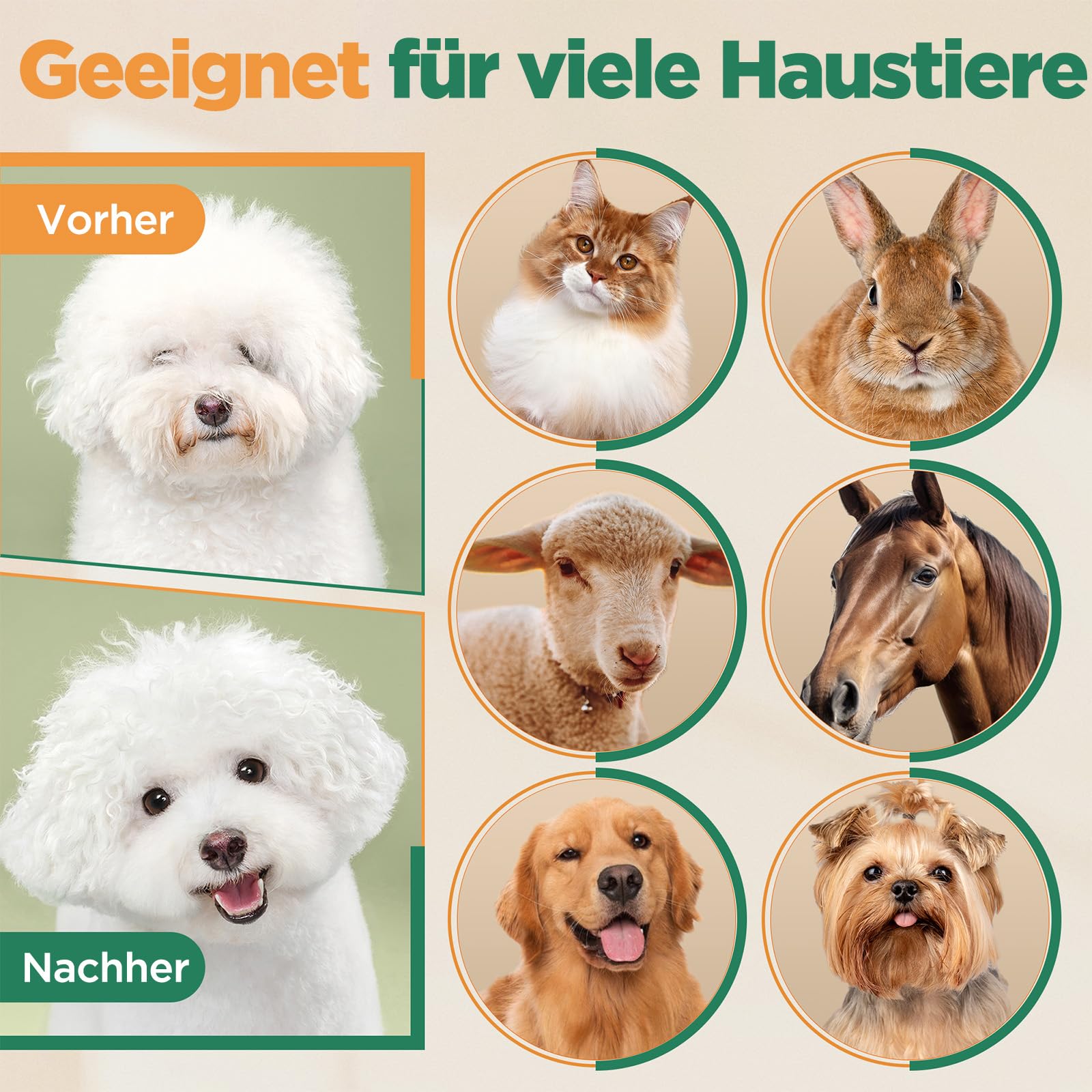Gimars 4-in-1 Hundeschermaschine mit Hunde Trimmer, 7000 U/min Leise Hunde Schermaschinen Set, USB Aufladbare kabellose Tierhaarschneidemaschine, Schermaschine Katze Hunderasierer für dichtes Fell