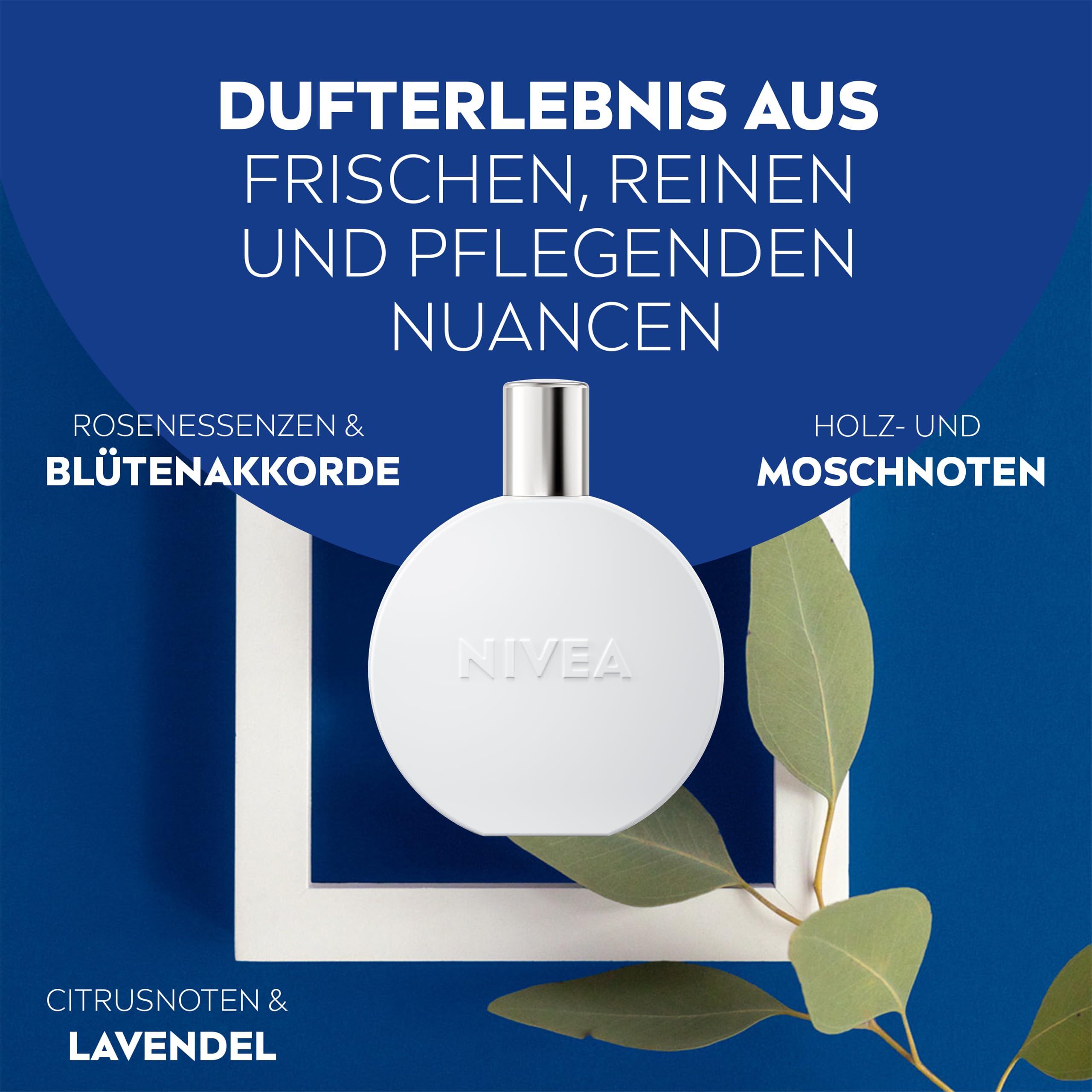 NIVEA Creme Eau de Toilette 100 ml : Amazon.de: Beauty