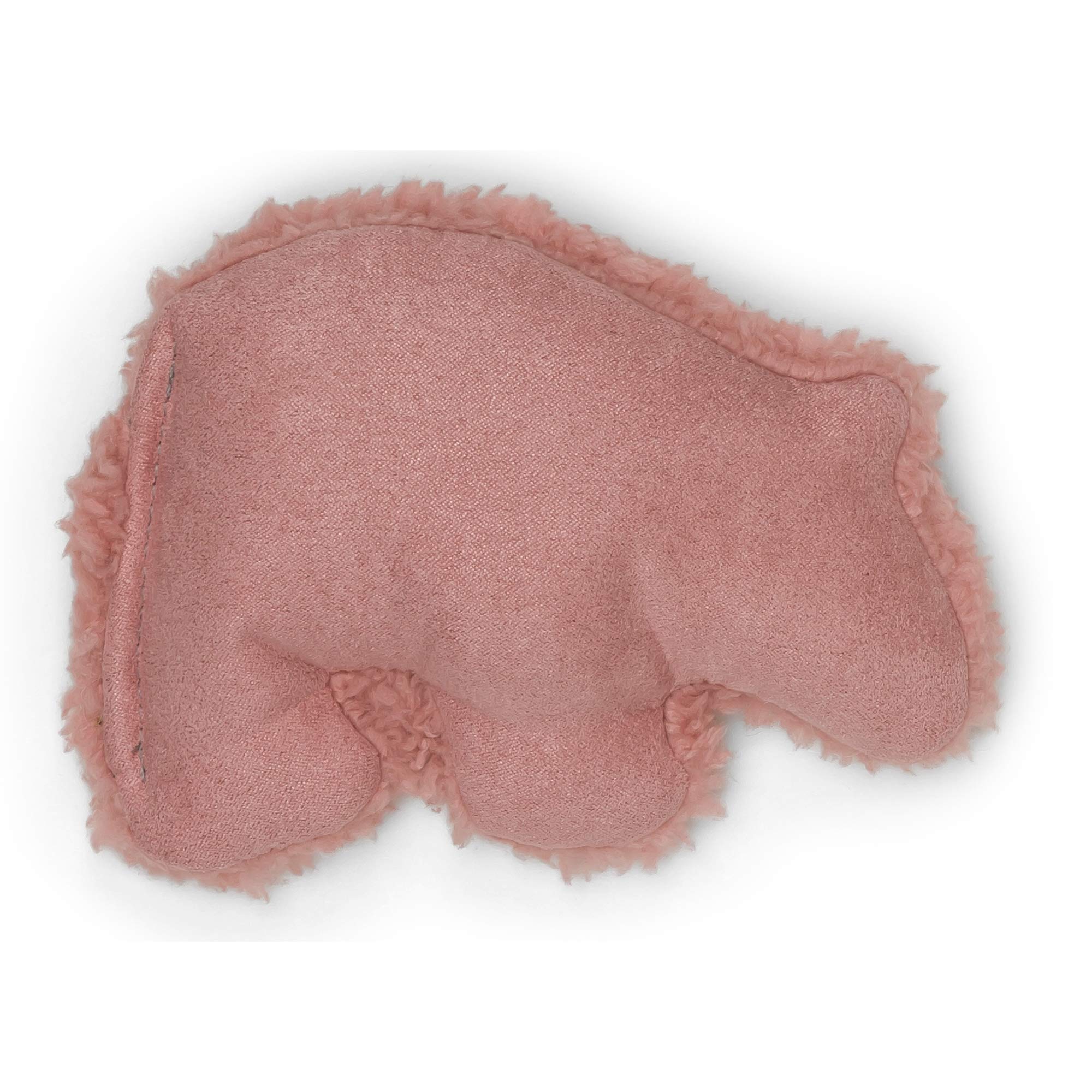 WEST PAW Big Sky Grizzly Squeaky Plush Dog Toy – Soft Toys for Dogs, Puppies – Machine Wash, Durable Fabric – Moderate Pet Play Toys – Small, Dusty Rose