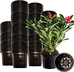 Kit 100 Vasos Para Mudas e Plantas Pequenas Pote NP 6 - Nutriplan