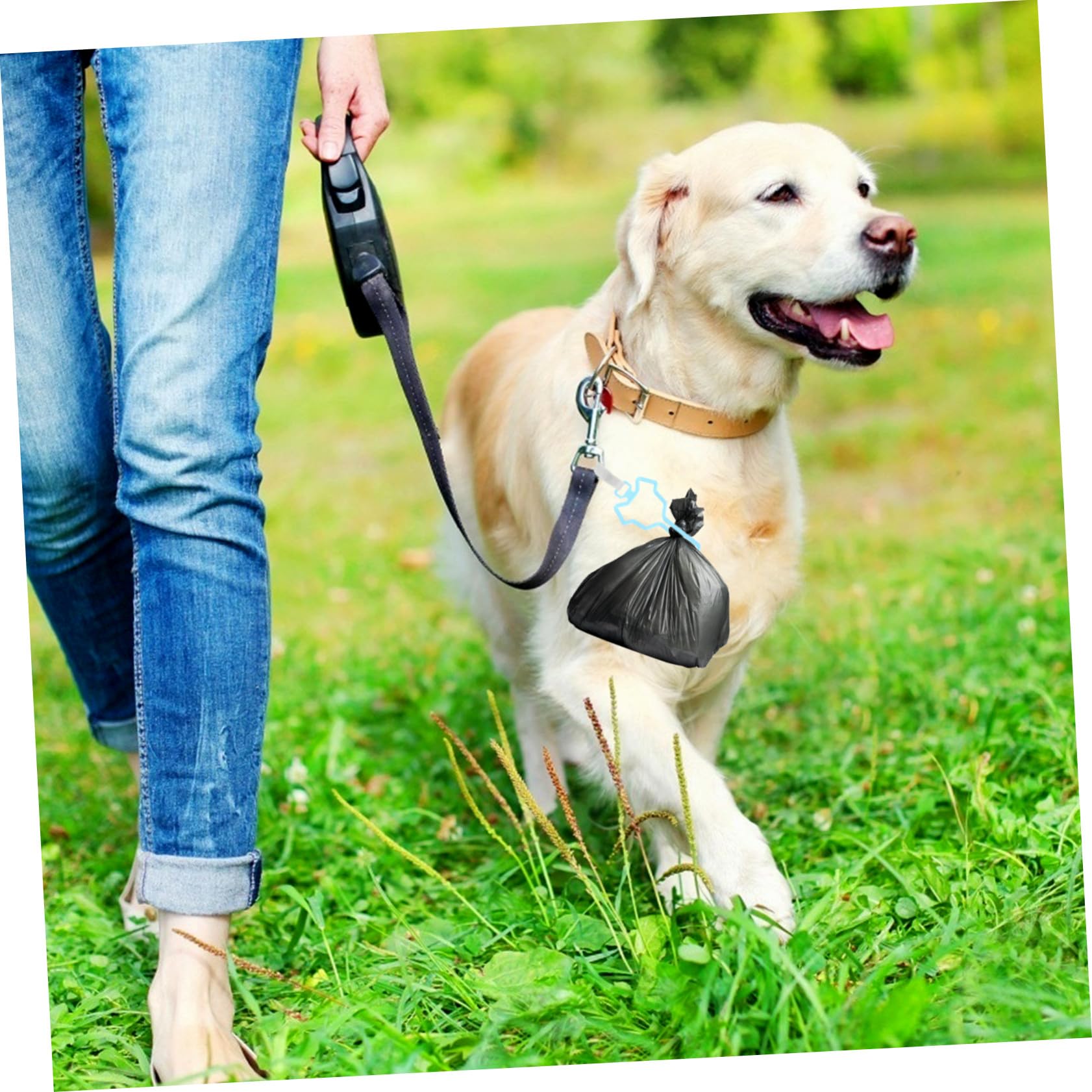 Abaodam 5 pièces Distributeur Sacs Déjections Chien avec Clip Fixation pour Laisse Support Multi-usage Couleurs Assorties Rouge Bleu Vert Gris