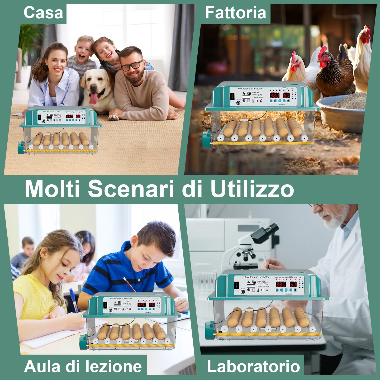 CoInceptus Incubatrice per Uova Automatica, Incubatrice per 24-36 Uova con Rotazione Automatica delle Uova e Aggiunta Automatica dell'acqua, Incubatrice con 4 Modalità di Incubazione Automatiche