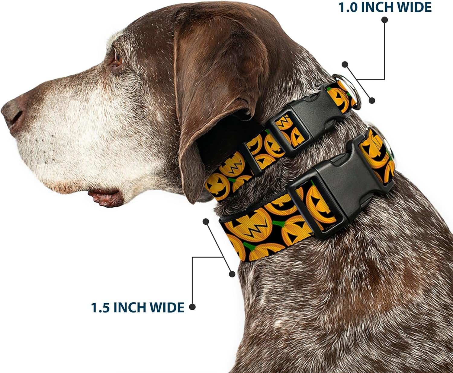 Buckle-Down Plastic Clip Collar - Jack-o'-Lantern Collage Black - 1.5" Wide - Fits 18-32" Neck - Large