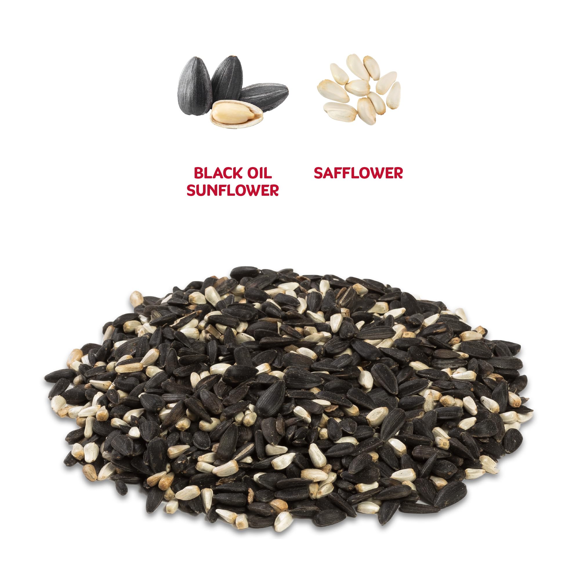 Audubon Park Semilla de pájaro Silvestre Cardenal, 8 Libras – Alimento para pájaros Silvestres para comederos Exteriores, Mezcla de Girasol y cártamo