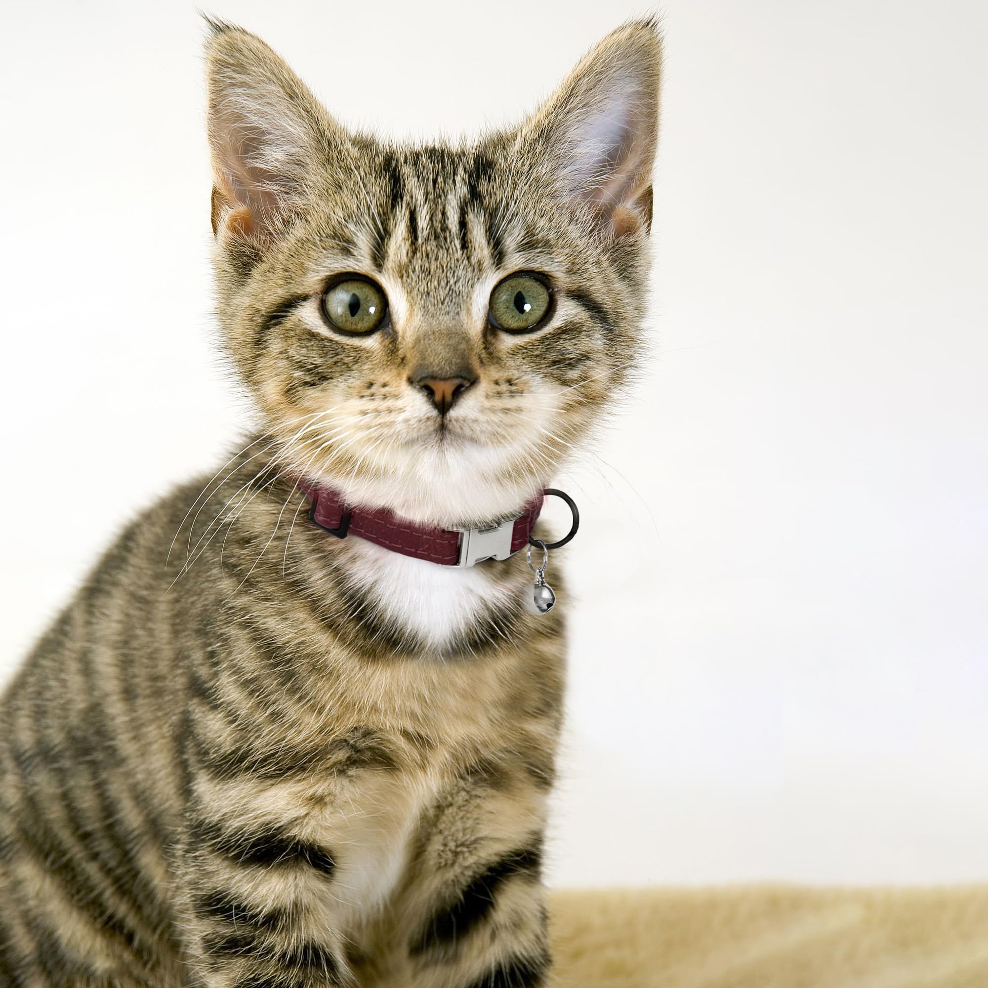 Collar de cuero para gato con hebilla y campana extraíble, no se rompe, ajustable, suave, de seguridad, para mascotas, para niñas, niños, gatos, gatitos (borgoña)