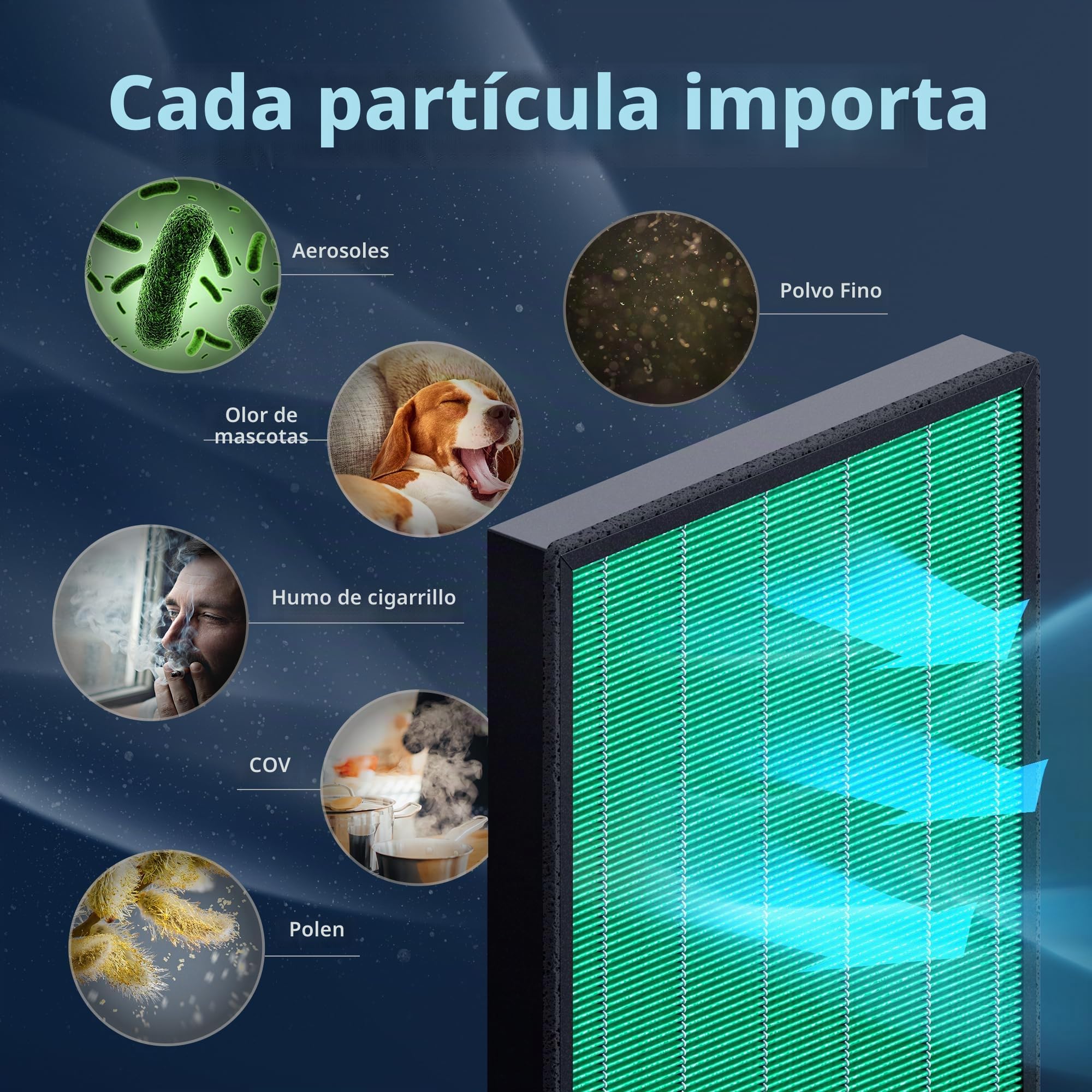 Coway Airmega 150 - Filtro de repuesto para purificador de aire, color negro y blanco