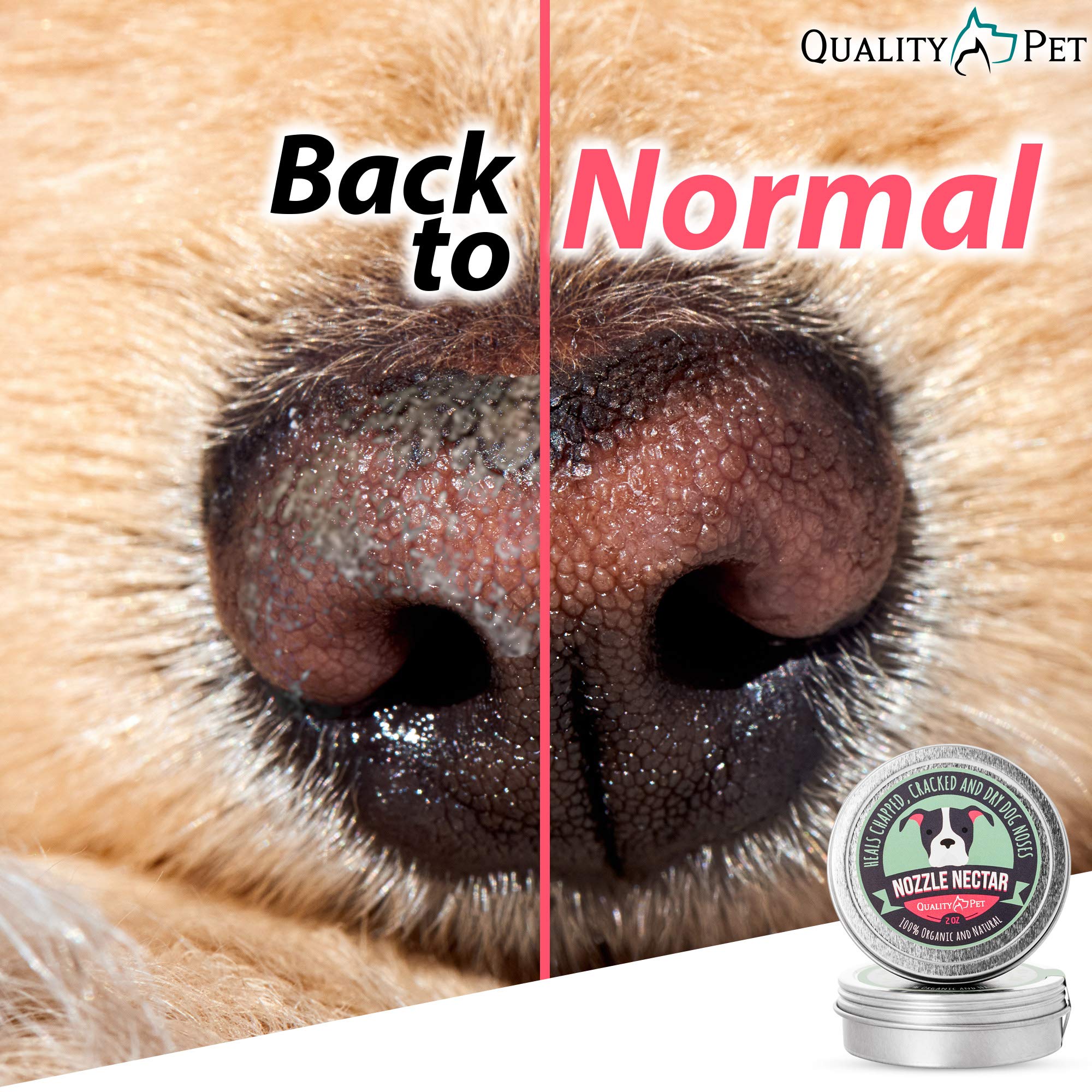 How Do You Treat A Dogs Chapped Nose