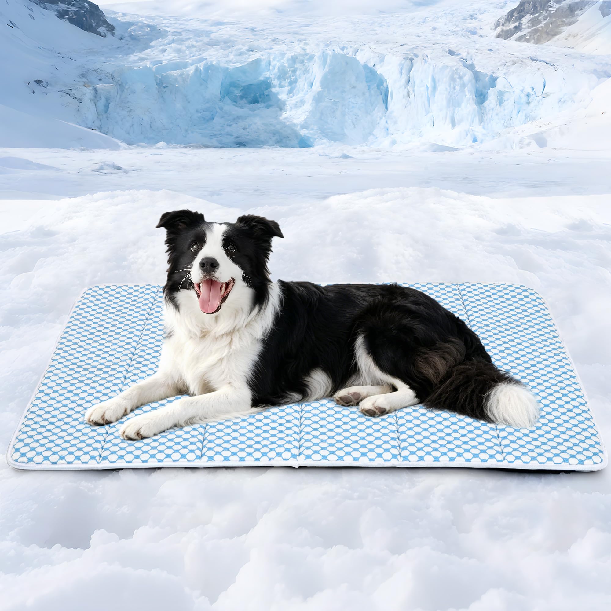 ZAKAPAWS Dog Cooling Mat for Large Dogs – 35"x23" Orthopedic Memory Foam Pad for Summer, Hot Weather & Joint Relief | Washable, Non-Slip Crate Mat for Senior Dogs, Travel & Home (Blue) — image 1