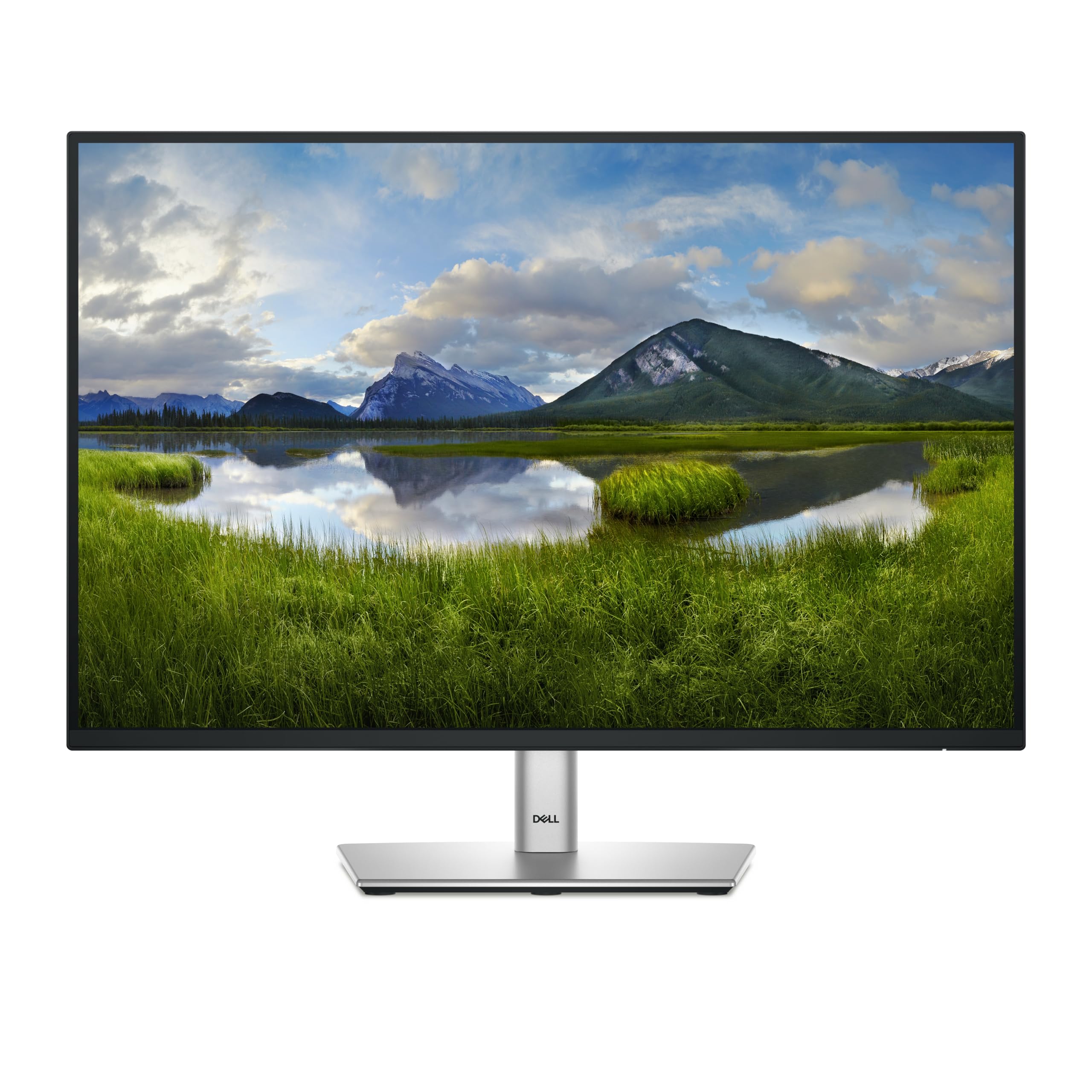 Dell Black Pro Plus P2425e Computer Monitor 61.1 Cm (24.1") 1920 X 1200