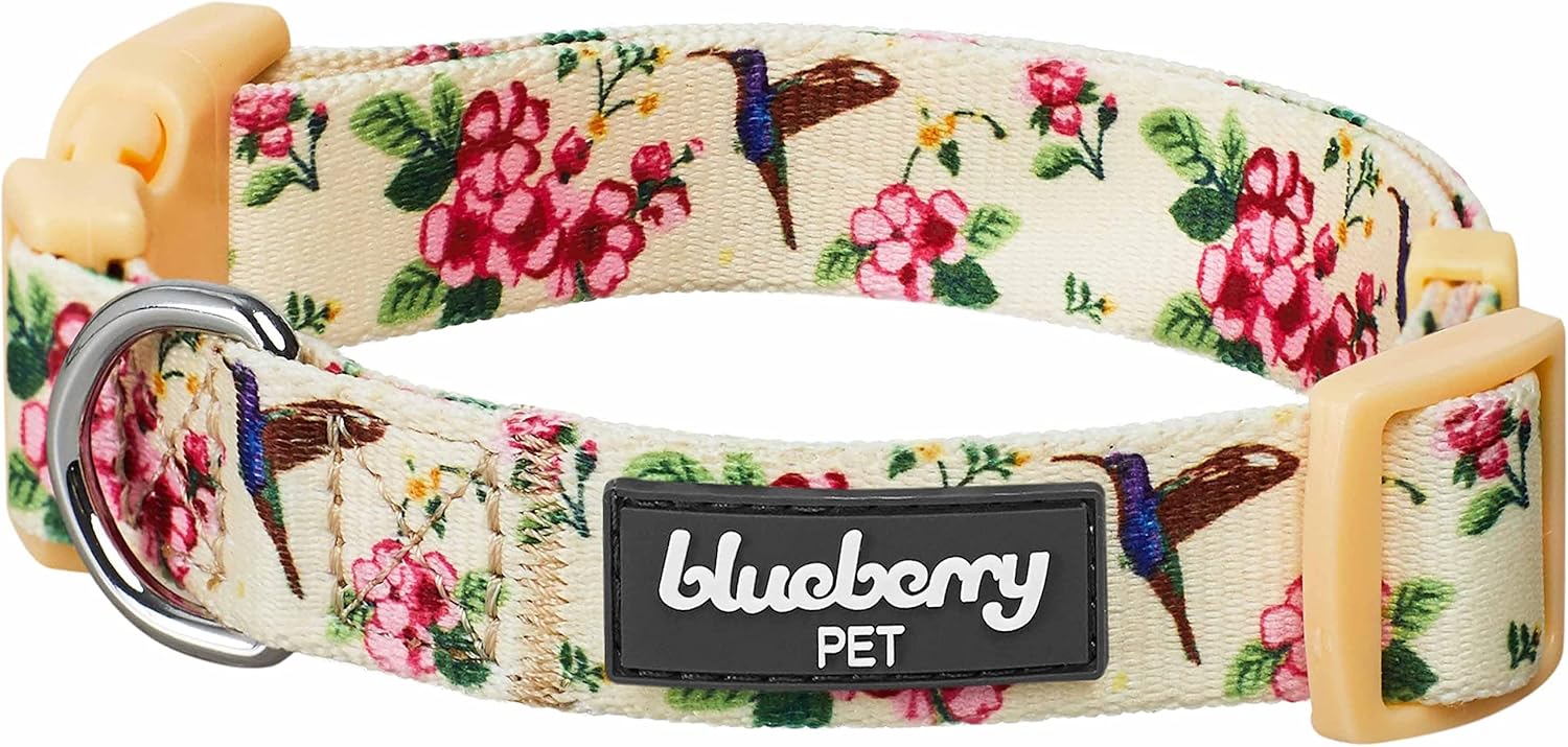 Blueberry Pet Spring Scent Inspired Flower and Hummingbird Adjustable Dog Collar, Lemon Chiffon, Small, Neck 12"-16"