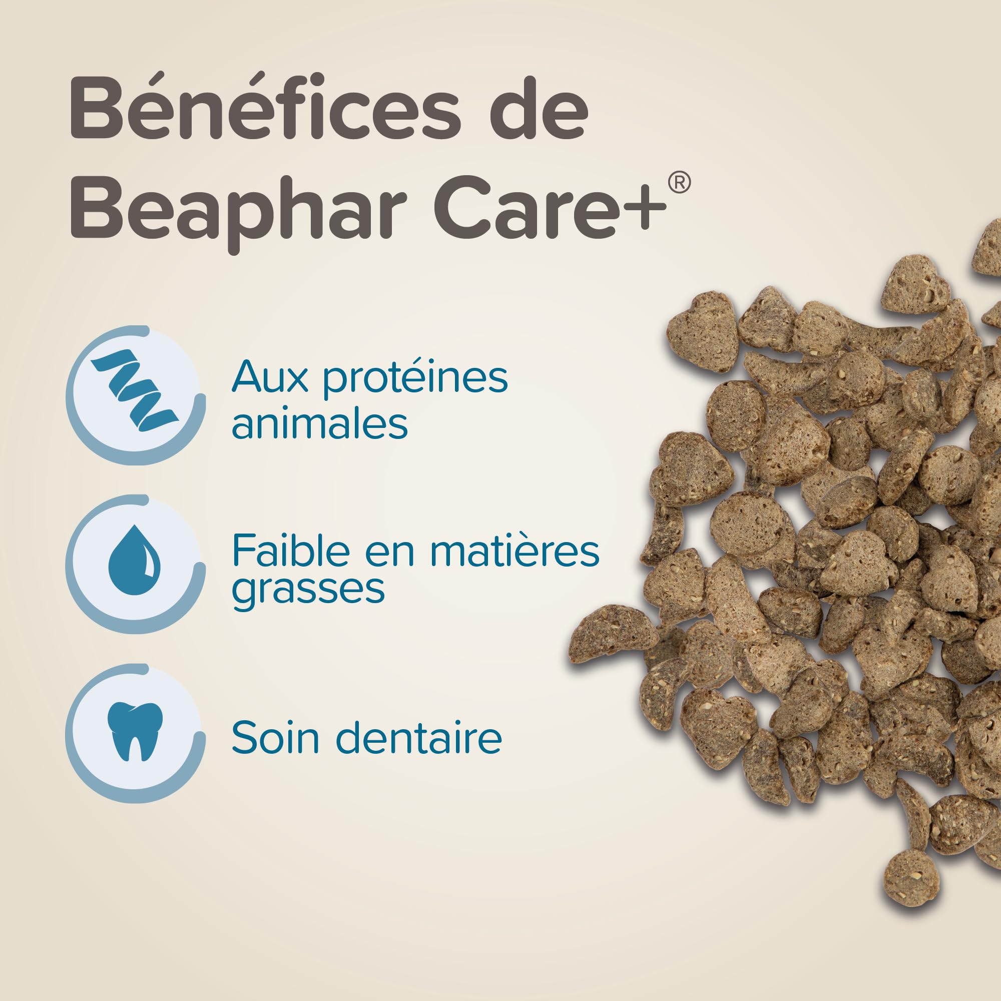 BEAPHAR – Care+® – Alimentation Super Prenium extrudée pour Gerbille et Souris – Aux proteines animales – Haute digestibilité – Participe à l’Usure Naturelle de Dents – Granulés Tout-en-Un – 500g