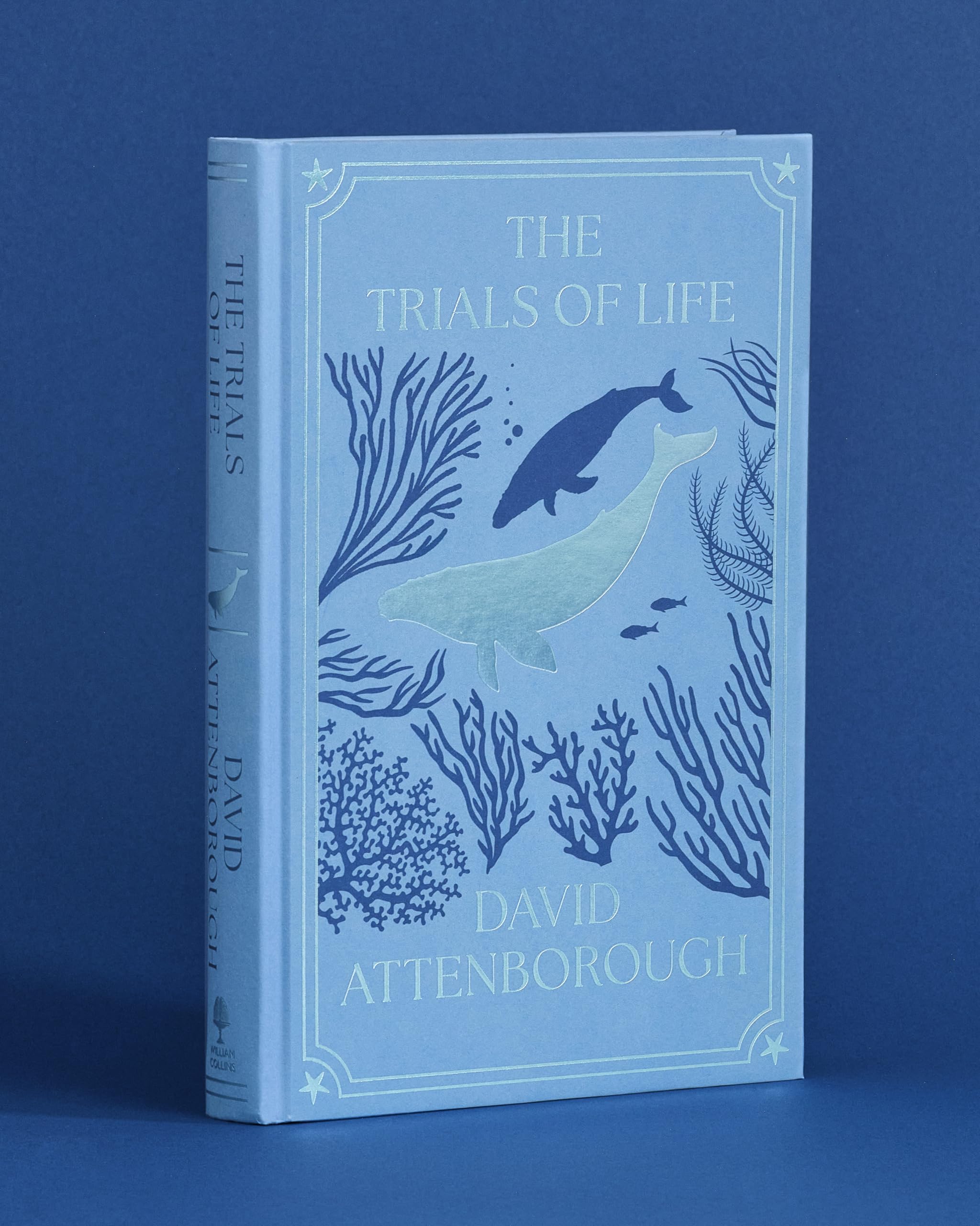The Life Trilogy Boxset: The Greatest Story Ever Told