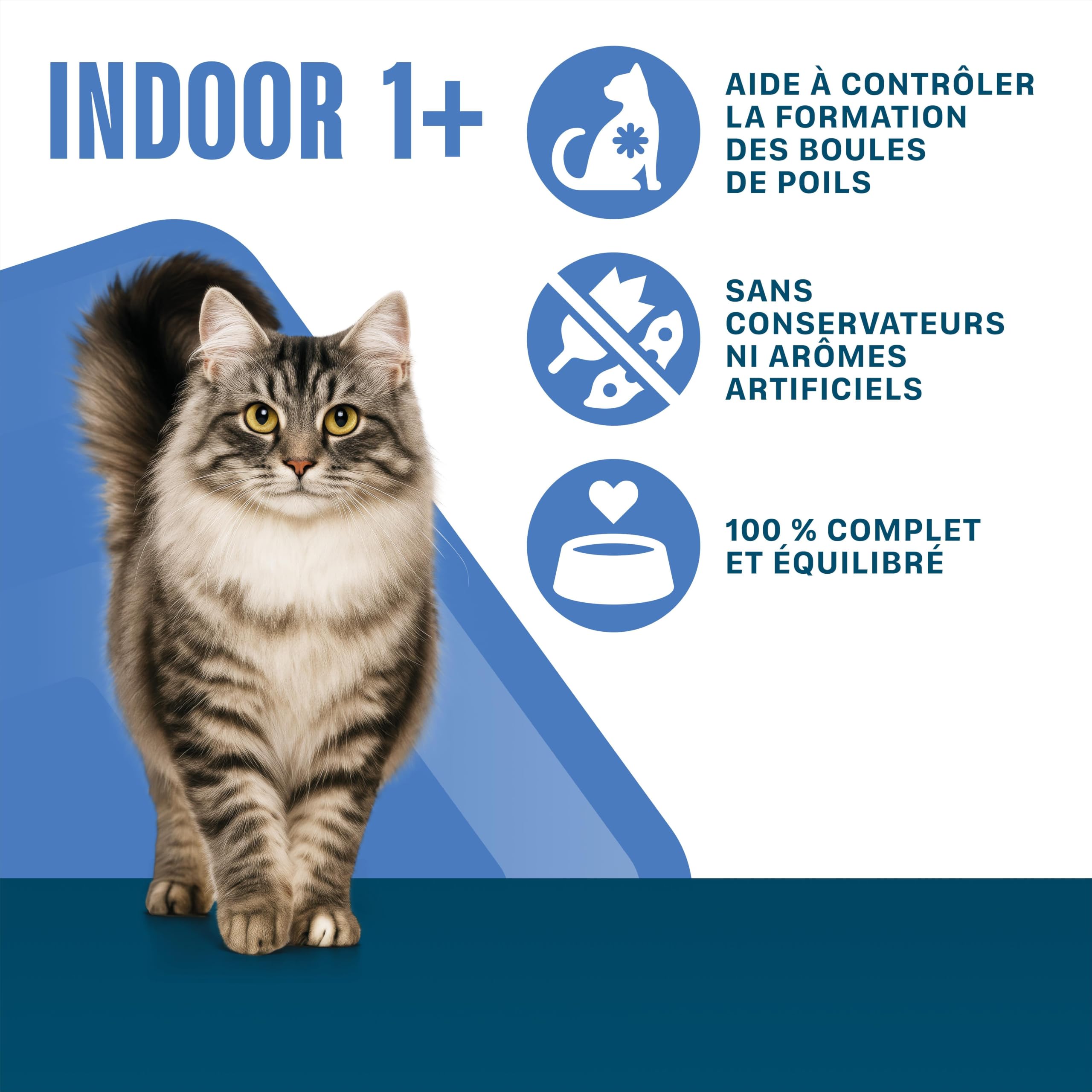 Sachet de Nourriture pour Chat Indoor 1+, 4 x 13 x 85 g au Poulet et aux Petits Pois/au Saumon et aux Carottes (Pack de 52)
