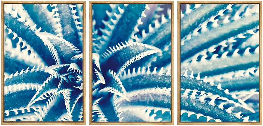 Amazon.co.jp: SIGNWIN フレーム付きキャンバス ウォールアート