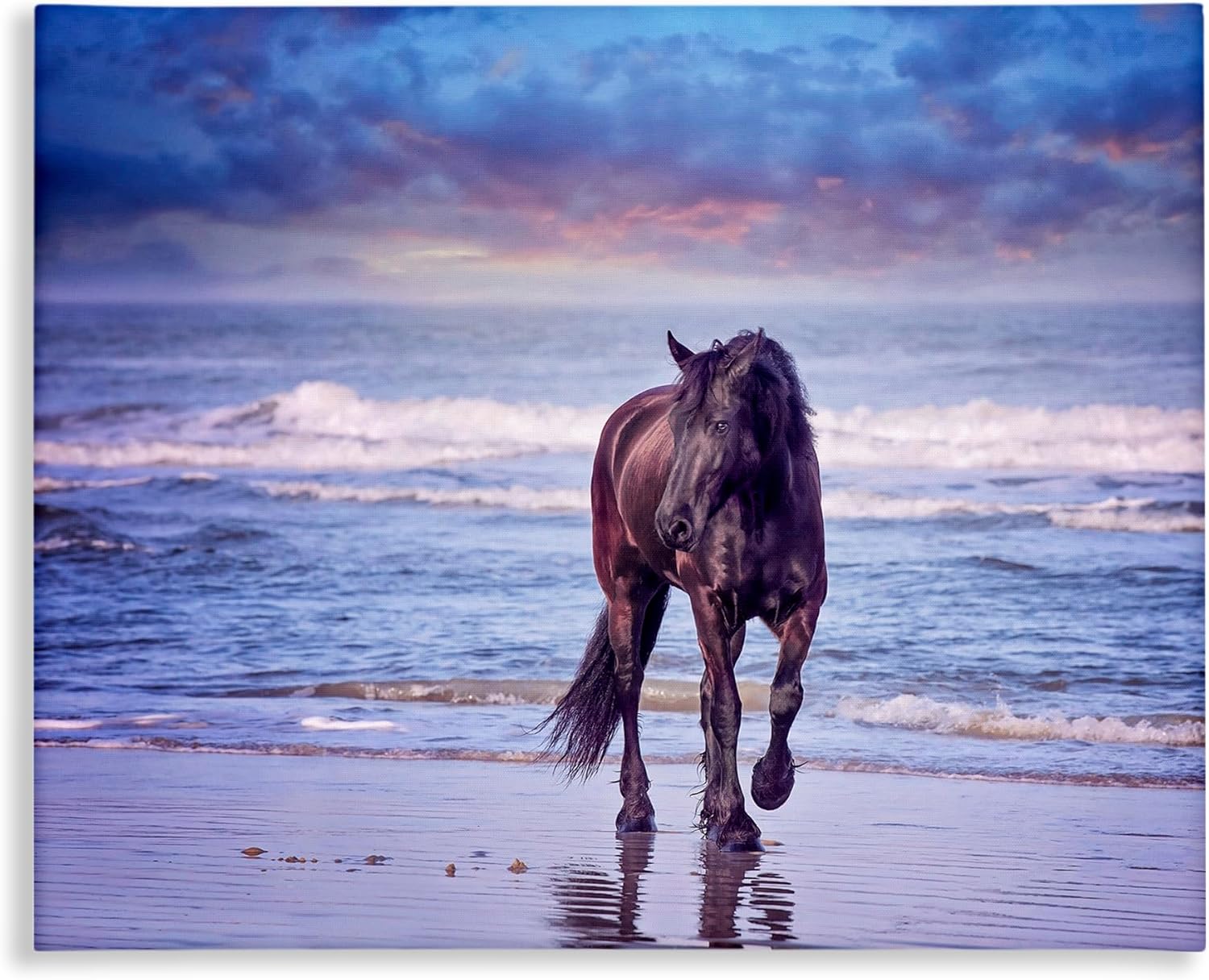 Stupell Industries 'Wild Horse on Beach', Canvas Art, 20 x 16 Inches, Easy to Hang and Sturdy, Made in USA, by PH Burchett