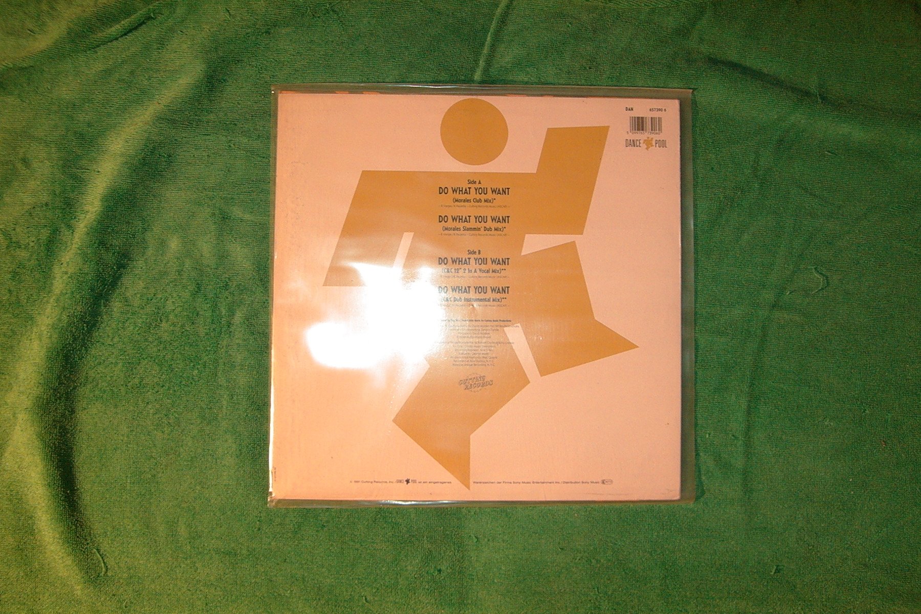 Do what you want (Morales Club/Slammin' Dub/C&C 12" 2 in a Vocal/Dub Instr. Mixes, 1991) / Vinyl Maxi Single [Vinyl 12'']