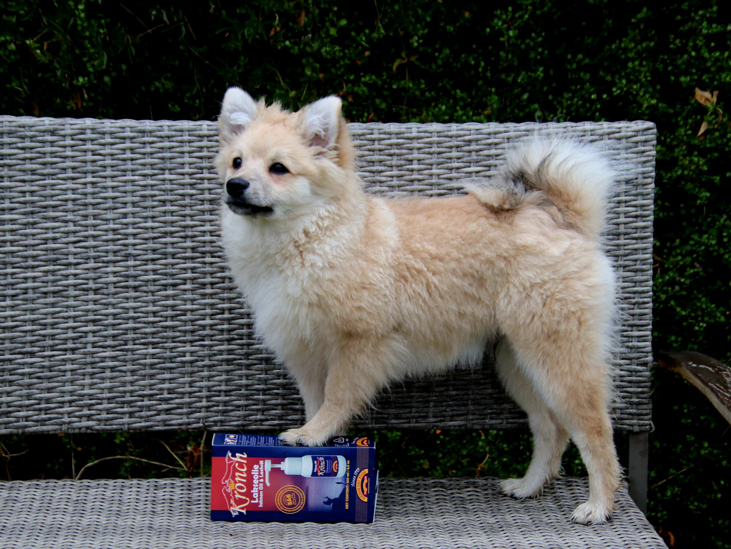 Lachsoel chien 500 ml