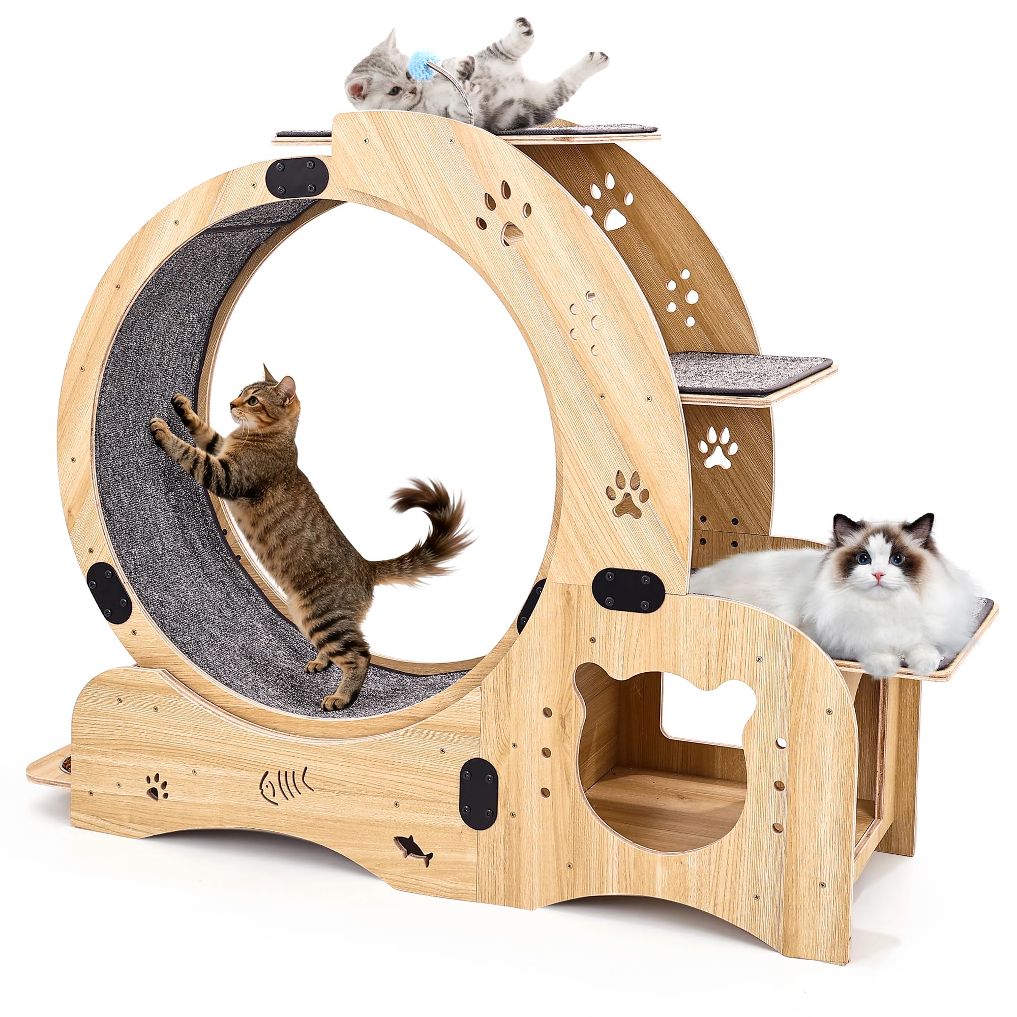 6-in-1 Upgrade Katzen-Übungsrad, Großes Leises Laufgerät mit Multifunktionsdesign, Interaktives Möbelspielzeug für Innenkatzen