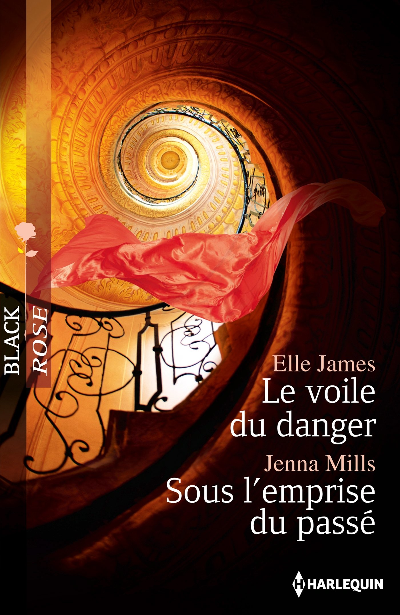 Le voile du danger - Sous l'emprise du passé (French Edition)