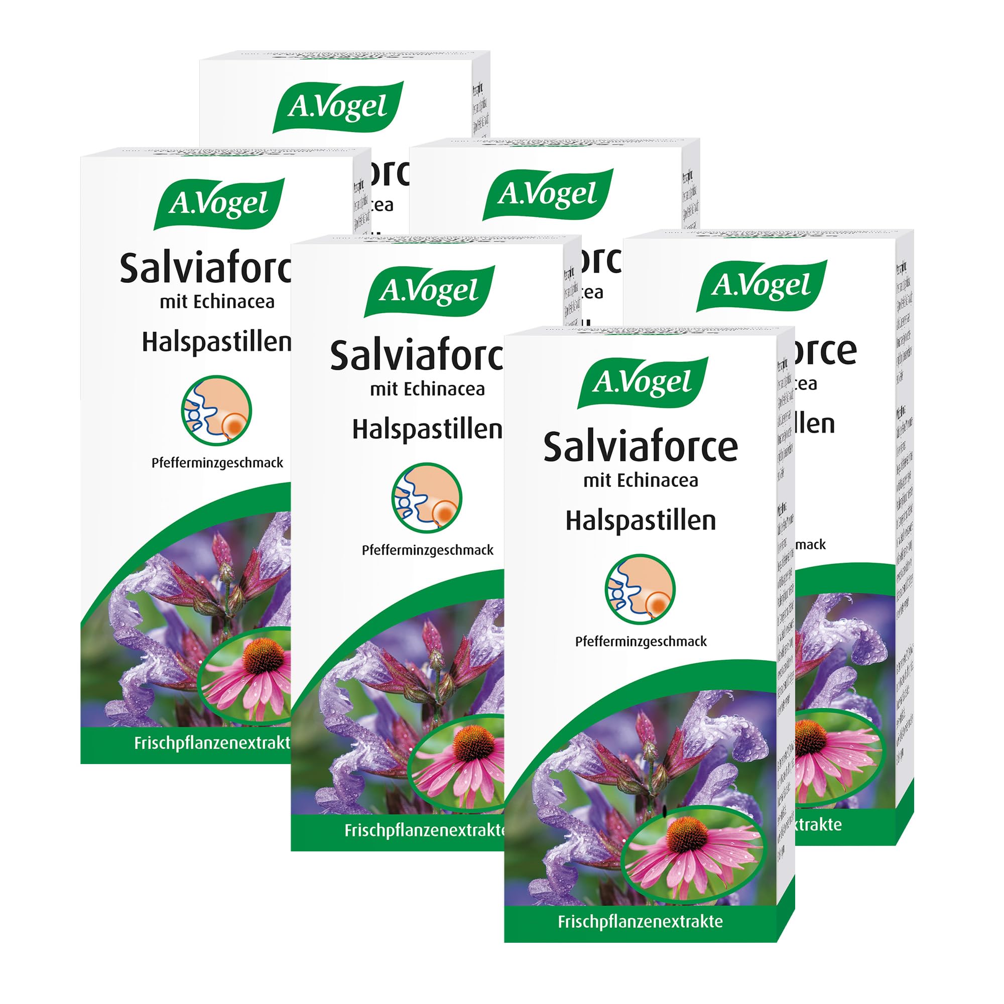 A.Vogel Salviaforce mit Echinacea und Salbei, Halstabletten, beruhigen Hals und Rachen, 6 x 20 Stück, Pfefferminzgeschmack, vegan