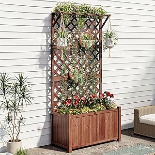 AMERLIFE Raised Garden Bed with Trellis for Vegetables, Climbing Plants,...