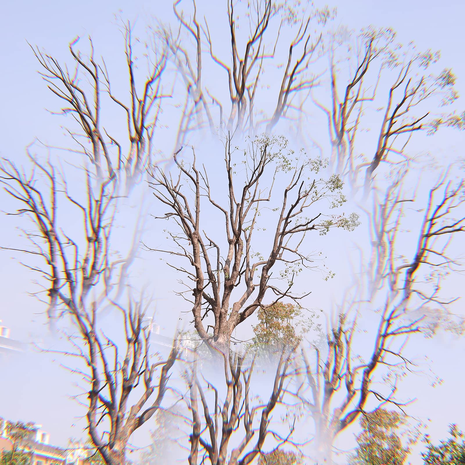 Funien Filtro de cámara Fotografía de primer plano Película de desenfoque Accesor de fotografía Filtro de caleidospio de vidrio de 77 mm Accesor de cámara
